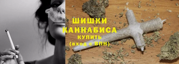 ГАЛЛЮЦИНОГЕННЫЕ ГРИБЫ Коряжма