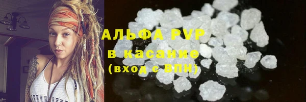 ГАЛЛЮЦИНОГЕННЫЕ ГРИБЫ Коряжма