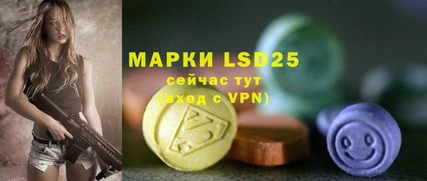 прущий лед Корсаков