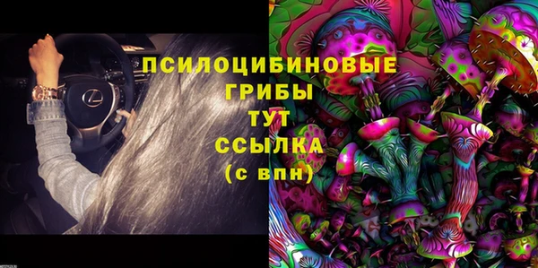 ГАЛЛЮЦИНОГЕННЫЕ ГРИБЫ Коряжма