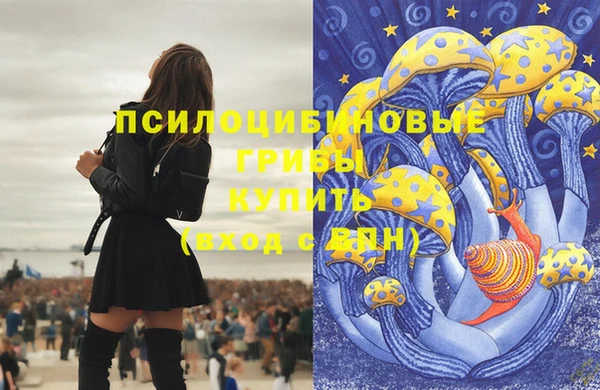прущий лед Корсаков
