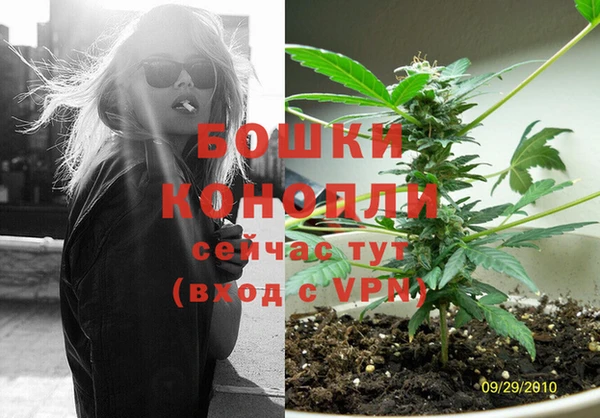 2c-b Костерёво
