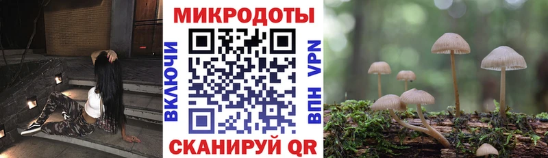 Псилоцибиновые грибы GOLDEN TEACHER  Купить где  Чаплыгин 