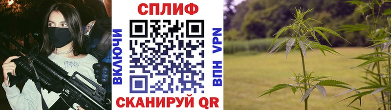 Купить  Чаплыгин  Марихуана сатива 